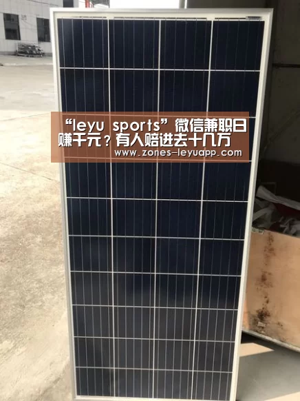 “leyu sports”微信兼职日赚千元?有人赔进去十几万(图3) 乐鱼体育