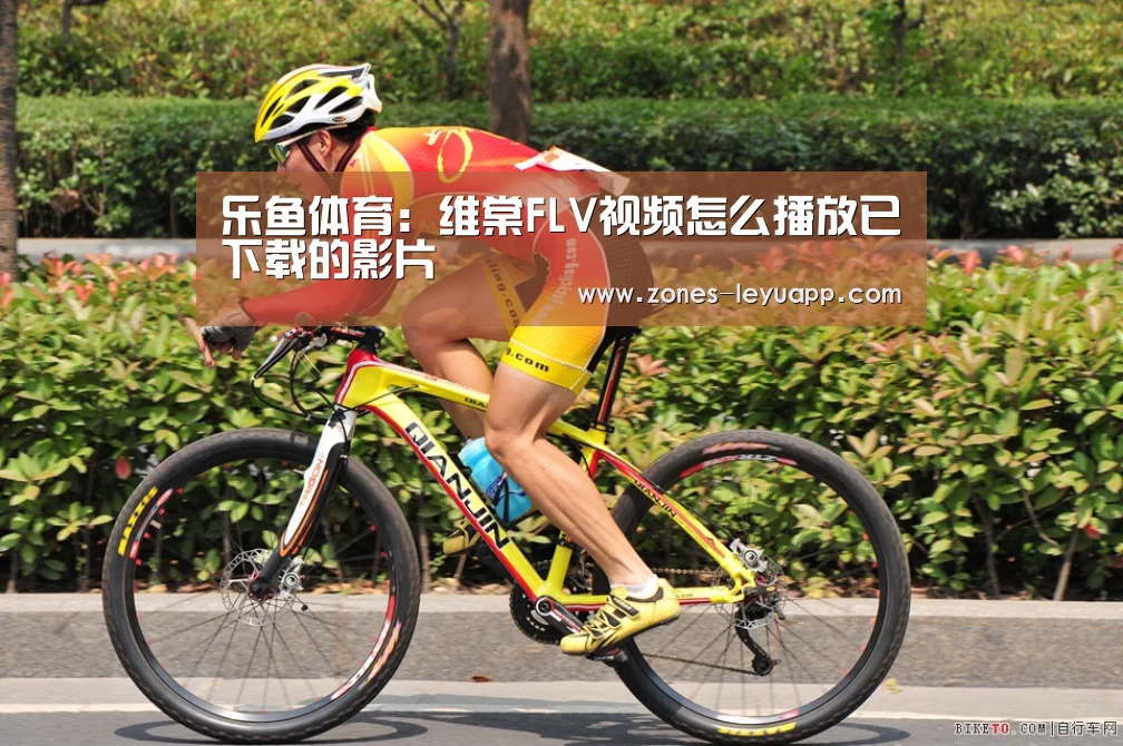 乐鱼体育：维棠FLV视频怎么播放已下载的影片