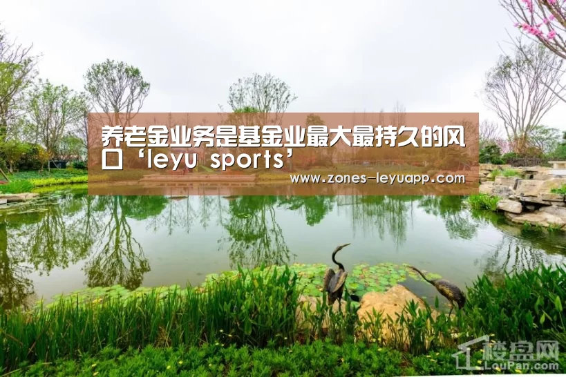 养老金业务是基金业最大最持久的风口‘leyu sports’(图3) 乐鱼VIP注册app下载